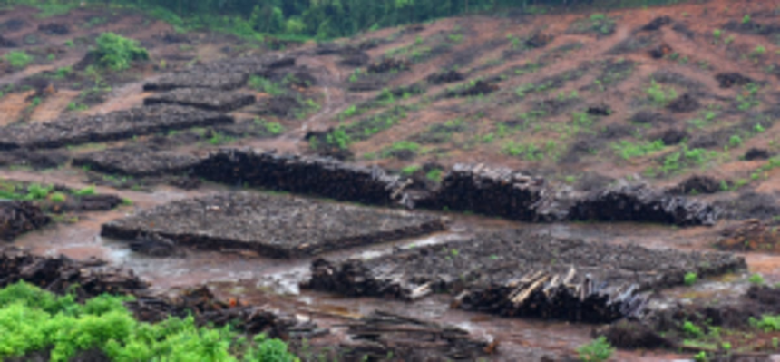 All hopes now rest on SC’s CEC visit