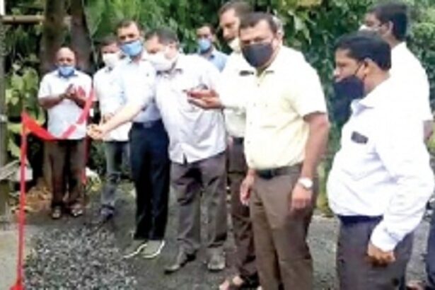 All marked trees will not be cut from  Mollem Wildlife Sanctuary: Power Min