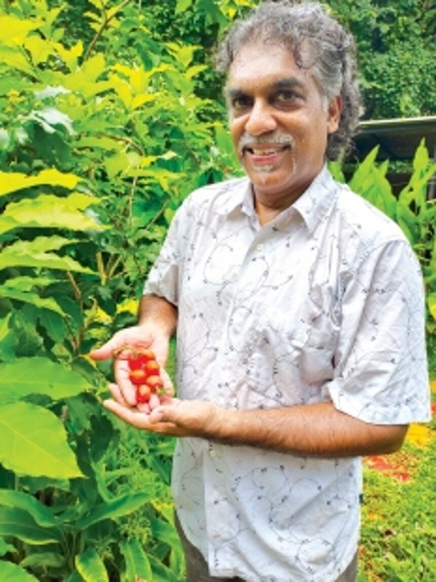 Allwyn Siqueira’s green haven is a symphony of nature and nurture