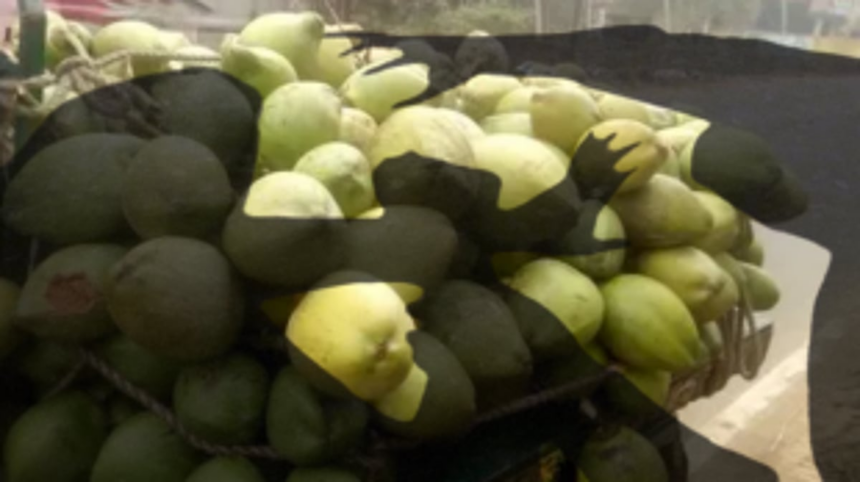 Altercation over Coconut Water Price Turns Violent: Tourist Assaulted with Iron Rod