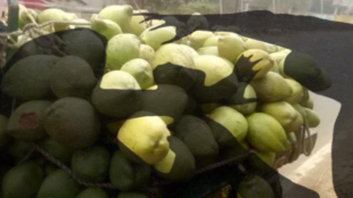 Altercation over Coconut Water Price Turns Violent: Tourist Assaulted with Iron Rod