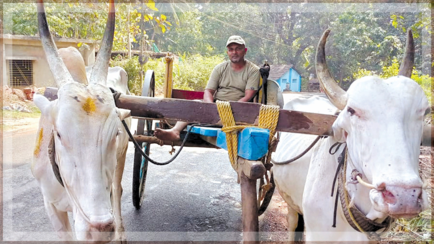 Amar Bagkar's Bullock Cart: The Last Lifeline of Tiracol's Rural Heritage