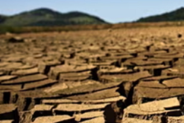 Amazon River Reaches Century-Low Water Levels Amid Severe Drought, Affecting Lives and Ecosystem