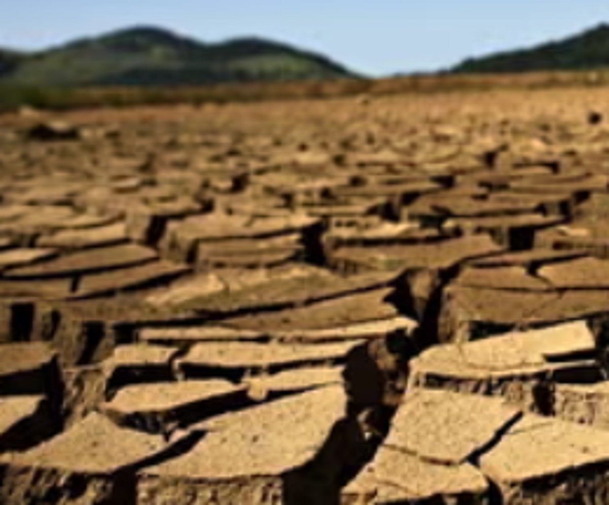 Amazon River Reaches Century-Low Water Levels Amid Severe Drought, Affecting Lives and Ecosystem