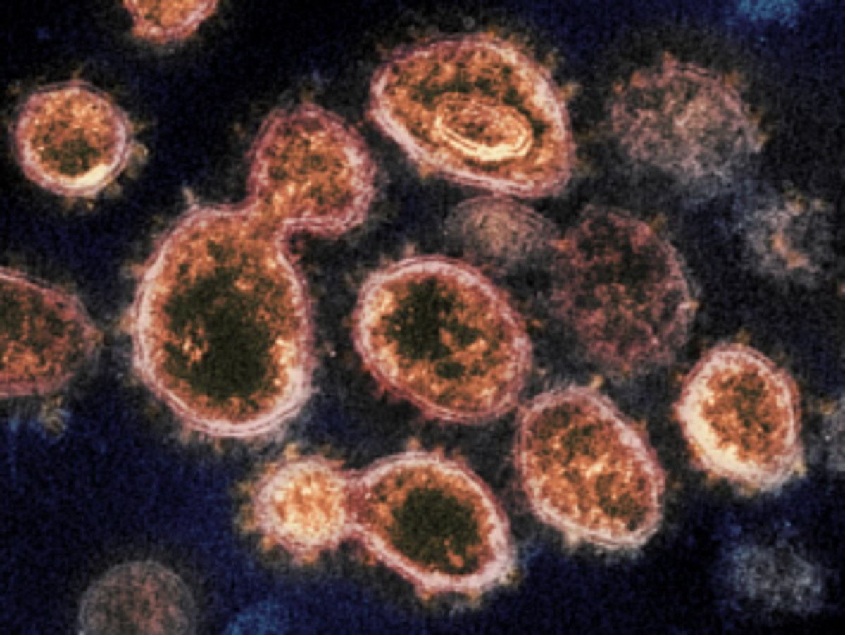 Ambelim wedding & Fatorpa funeral has become Fatorpa’s nightmare