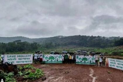 Amchem Mollem hits out at Govt for ambiguous responses on linear projects