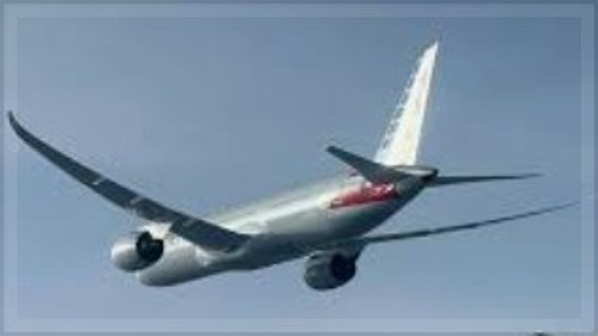 American Airlines Flight 292 Diverts to Rome Amid Security Threat: Details of Incident