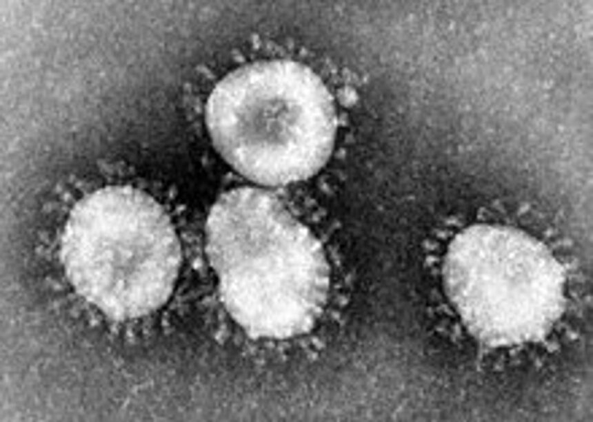 American tests negative for coronavirus