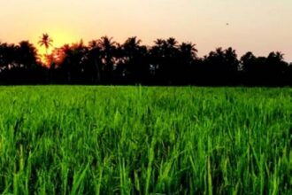 Amid nat’l arsenic scare, NGT urged to address Goa’s groundwater pollution crisis