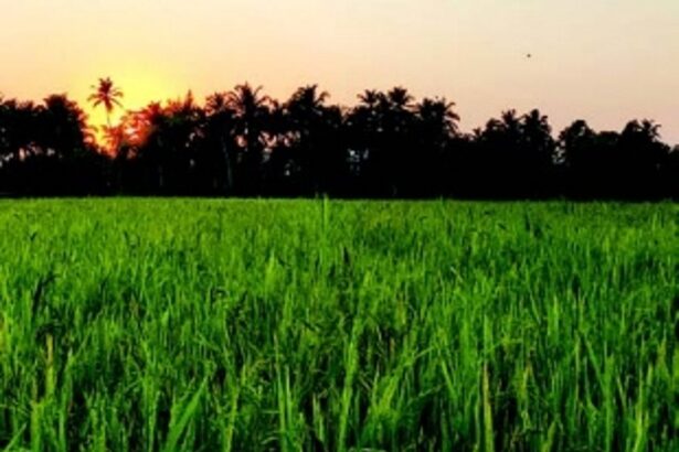 Amid nat’l arsenic scare, NGT urged to address Goa’s groundwater pollution crisis