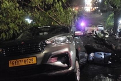 Amid widespread rain damage Rs 50,000 not enough for cutting dangerous trees: Ruling MLAs