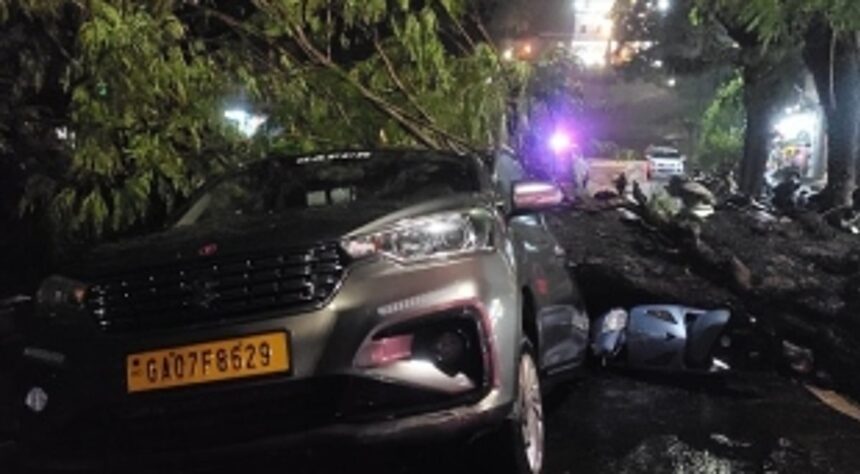 Amid widespread rain damage Rs 50,000 not enough for cutting dangerous trees: Ruling MLAs