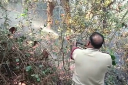 Amidst heatwave, wildfires rage in forests across four talukas Hillock in Cortalim burns for 36 hours