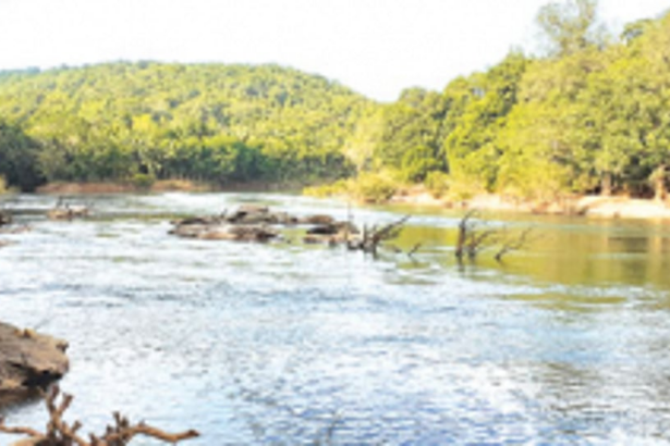 Amidst political spats, Margao civic body takes stand against diversion of Mhadei