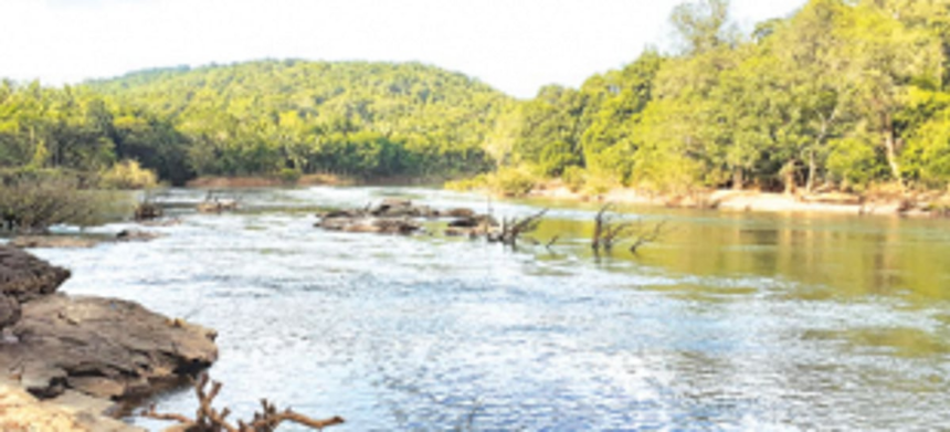 Amidst political spats, Margao civic body takes stand against diversion of Mhadei