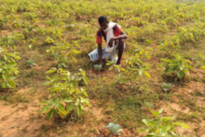 Amona and Navelim villages to develop under ‘Gram Nirman’ project