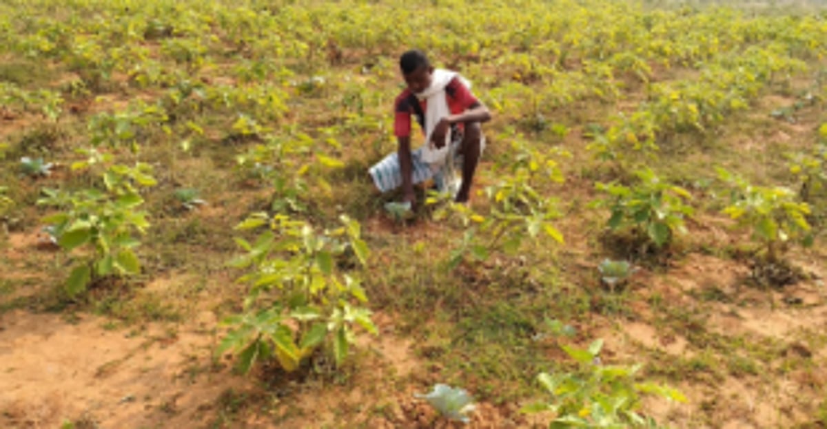 Amona and Navelim villages to develop under ‘Gram Nirman’ project