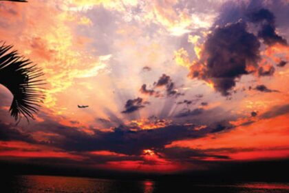 An aeroplane is silhouetted against the crimson sky