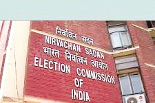 An enslaved electorate behind Goa’s politics