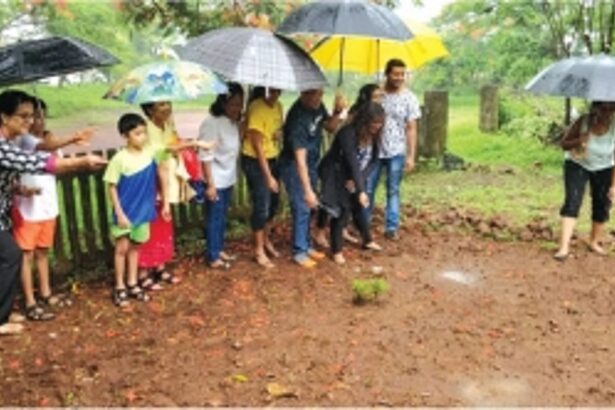 An explosive way of saving the planet