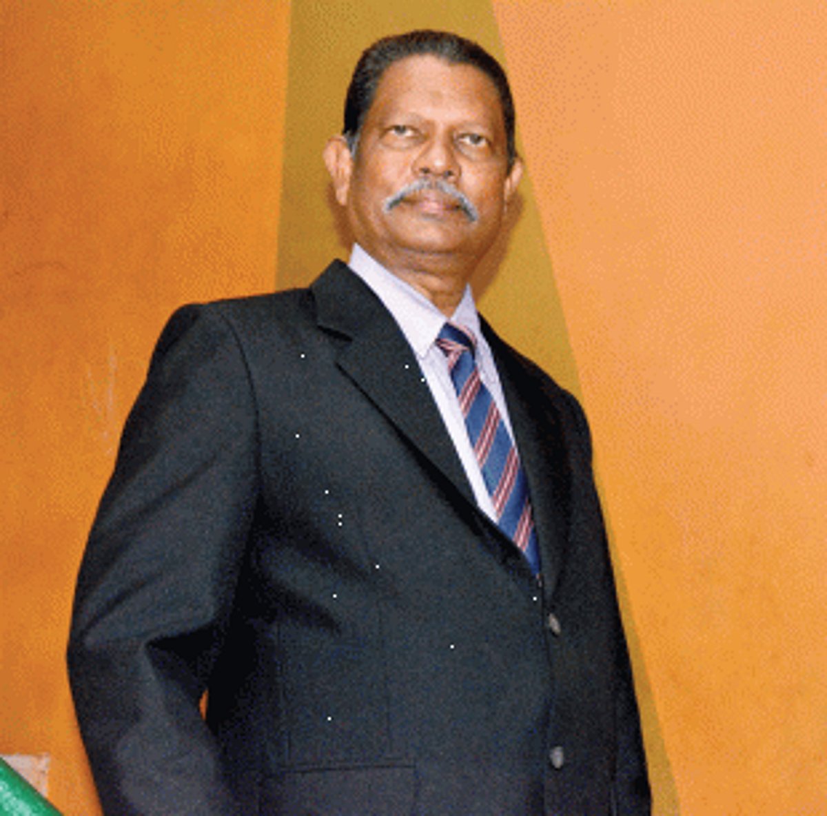 An ode to the era of Salferns