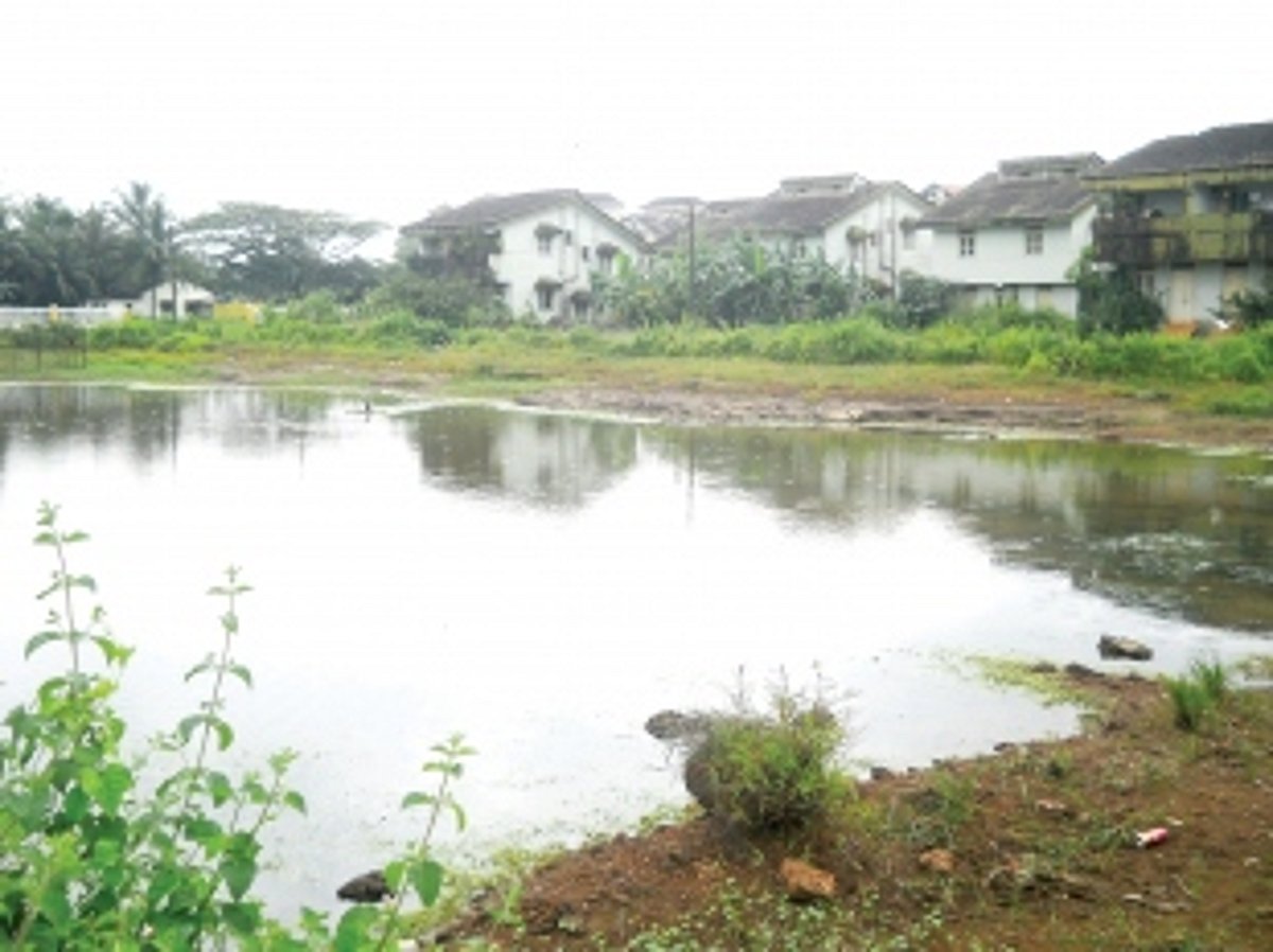 An open invitation for dengue, malaria