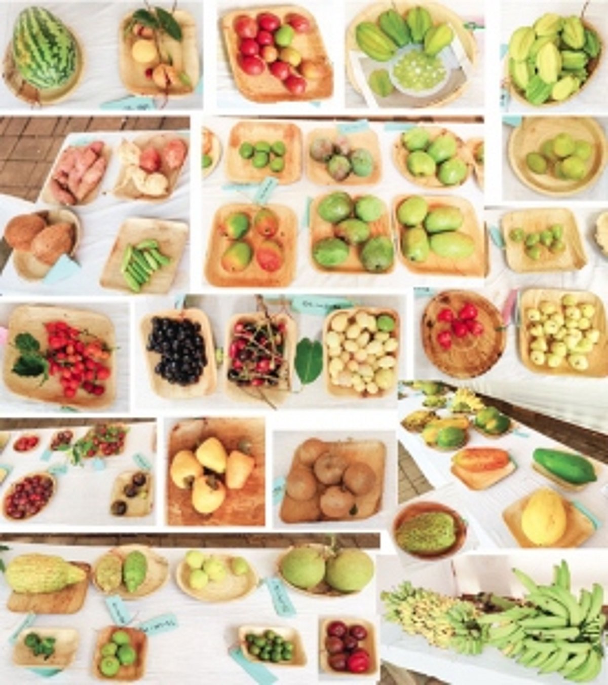 An optimistic future to celebrate Goa’s fruits