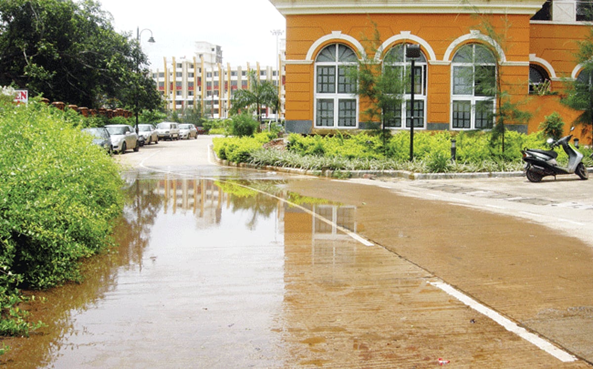 An overflowing sewage chamber raised a stink at the district Collectorate building on Friday