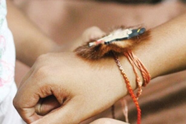 Analysing the tie that binds