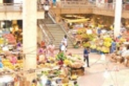 And.. they all got away