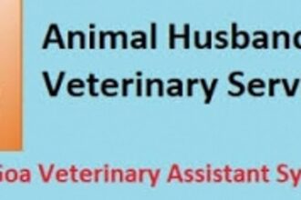 Animal Husbandry dept prohibits manufacture and trade of spiked bits  illegally used to harm horses