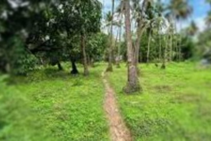 Anjuna Gauncars Unite to Support Legal Battles for Communidade's Benefit