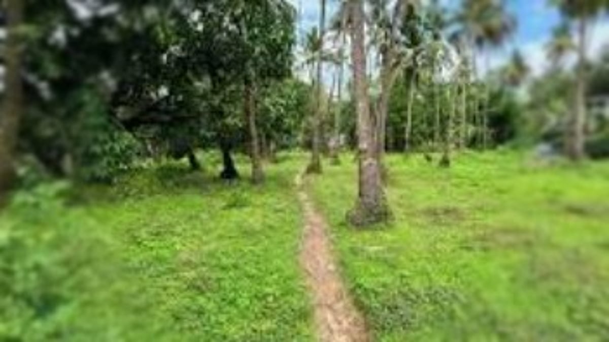 Anjuna Gauncars Unite to Support Legal Battles for Communidade's Benefit