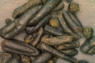 Anjuna Police seize drugs worth Rs 1.15 lakh, one arrested