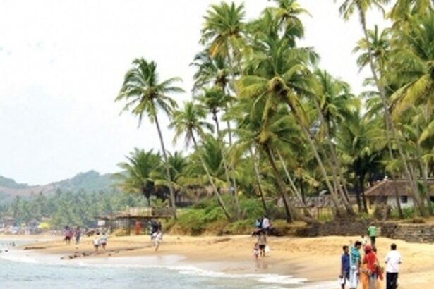 Anjuna finally sleeps peacefully but is ready to wake up & fight  if sound violations don’t stop permanently