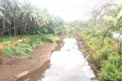 Anjunem dam level drops, Bicholim  may face water scarcity