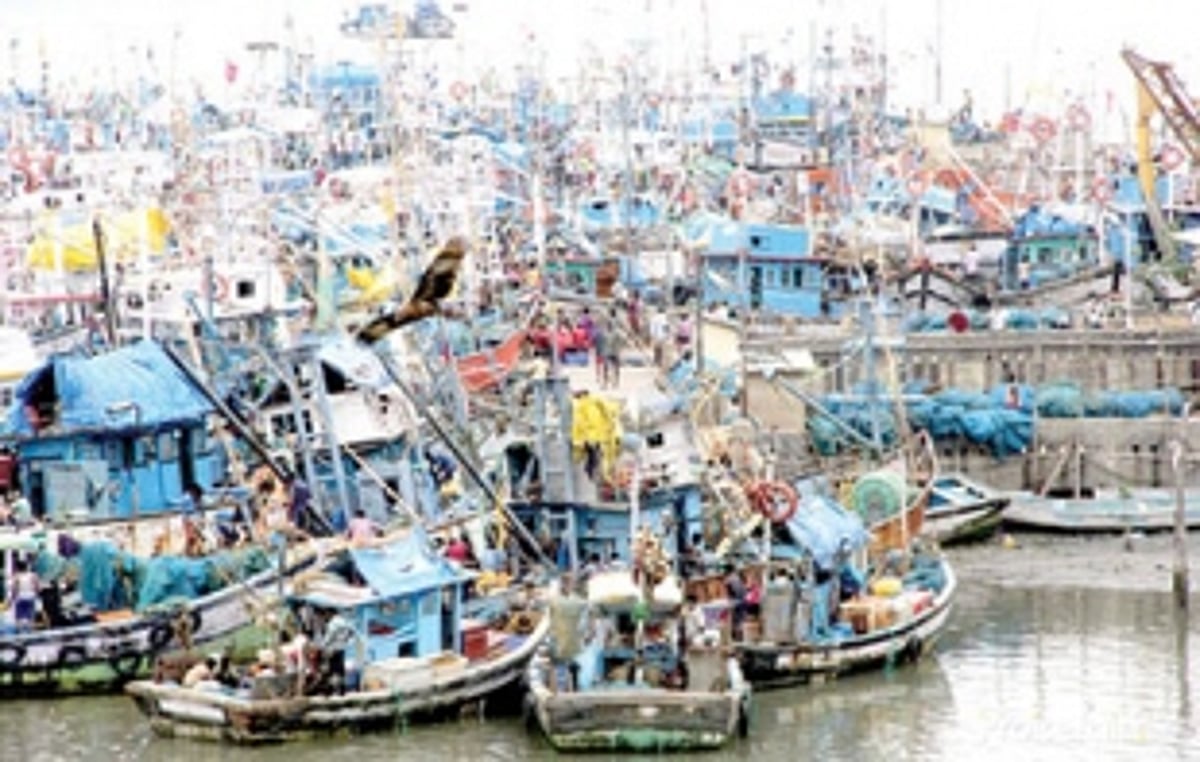 Annual fishing ban announced