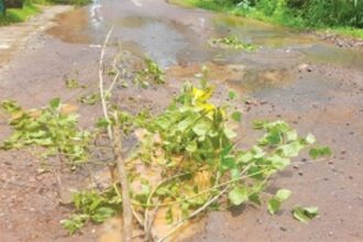 Annual menace: Overflowing sewage chambers irk Arlem locals