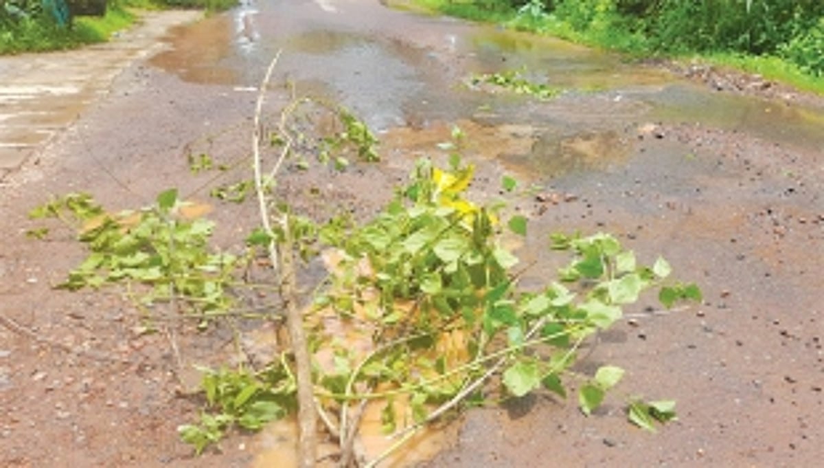 Annual menace: Overflowing sewage chambers irk Arlem locals