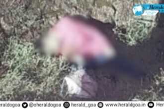 Another Foreigner Found Dead in Goa; Body of UK Native sent for Postmortem at SGDH