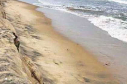 Another deadline missed, CZMP awaits finalisation