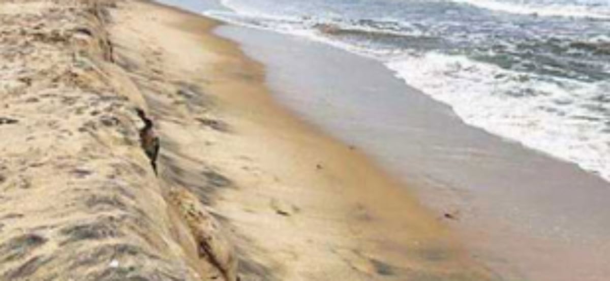 Another deadline missed, CZMP awaits finalisation