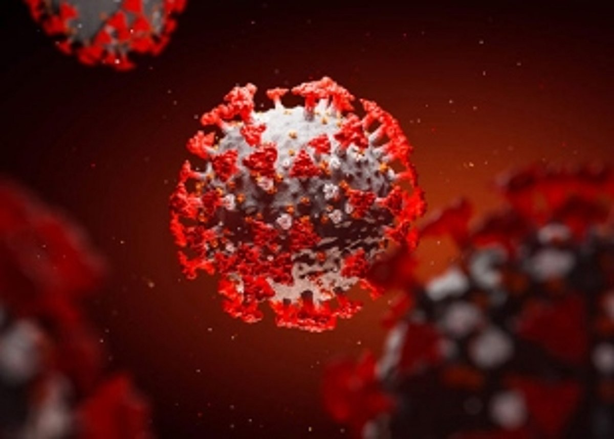 Another high as 713 cases take tally to over 19k