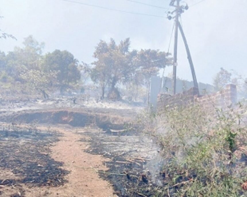 Another shocking fire incident at Mandrem, entire hill gutted