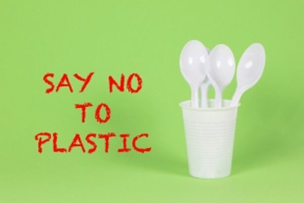 Anti-plastic drive: Salcete p'yats directed to convene gram sabha