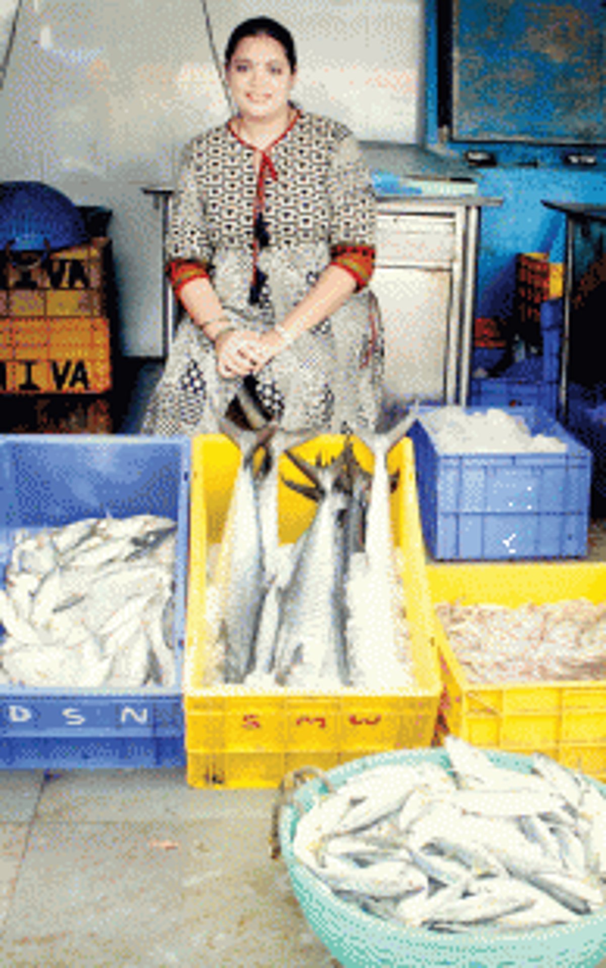 App-solutely fresh fish