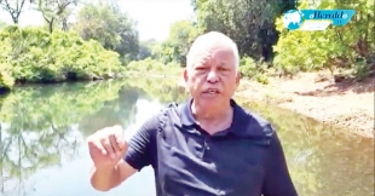 Approving K’taka’s DPR is a betrayal of Rajya Sabha, Goans: Luizinho