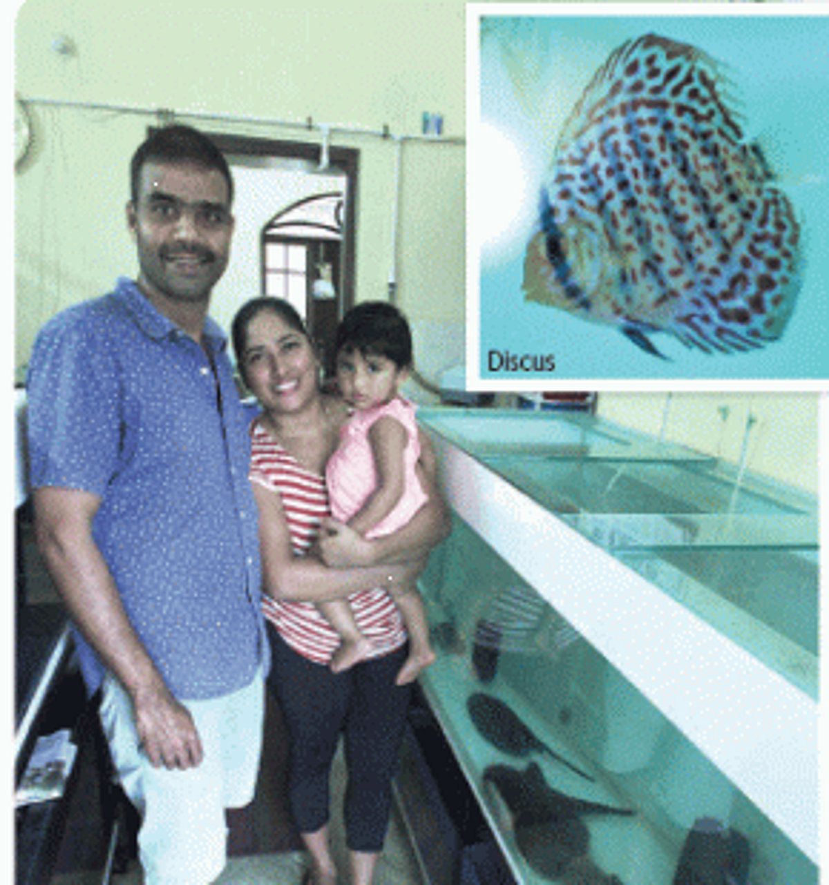 Aqua Paradise: Meet The Stingman From Goa