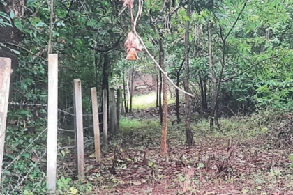 Arambol Villagers Protest Fencing of Private Forest in Bhatwadi, Fear Threat to Wildlife and Livelihoods
