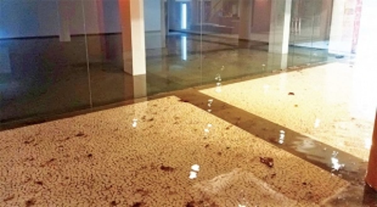 Architects call for fresh structural audit  of Kala Academy complex